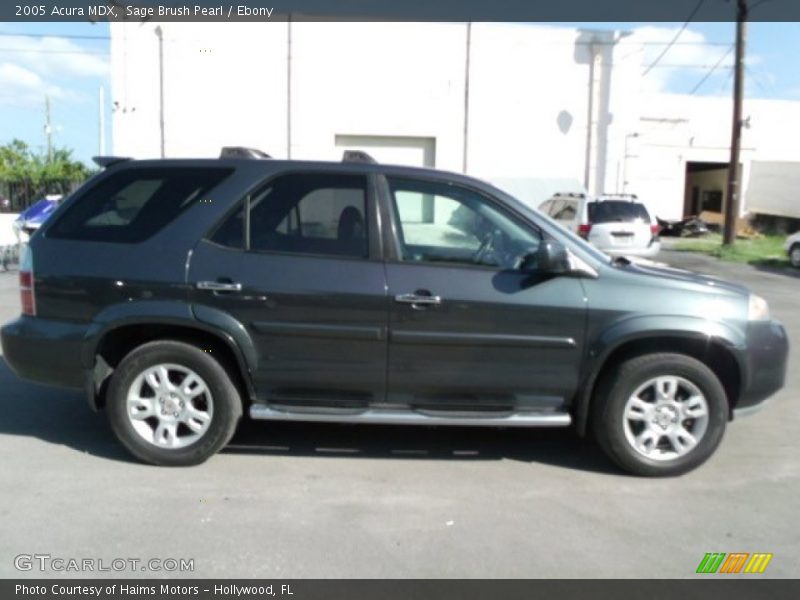 Sage Brush Pearl / Ebony 2005 Acura MDX