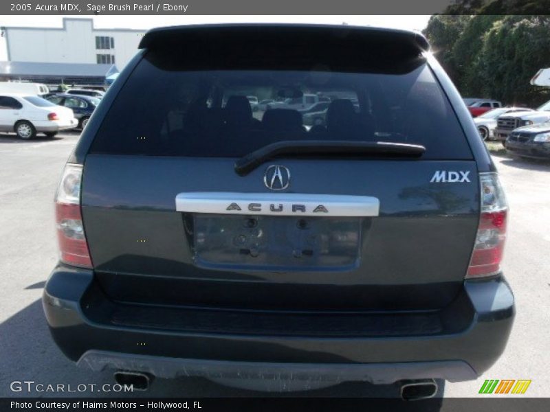 Sage Brush Pearl / Ebony 2005 Acura MDX