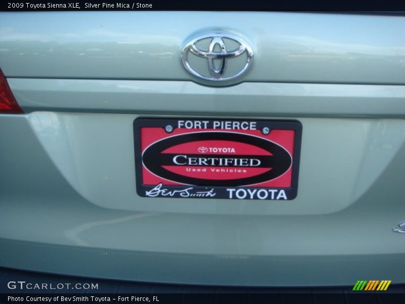 Silver Pine Mica / Stone 2009 Toyota Sienna XLE