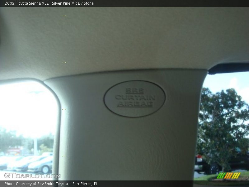 Silver Pine Mica / Stone 2009 Toyota Sienna XLE