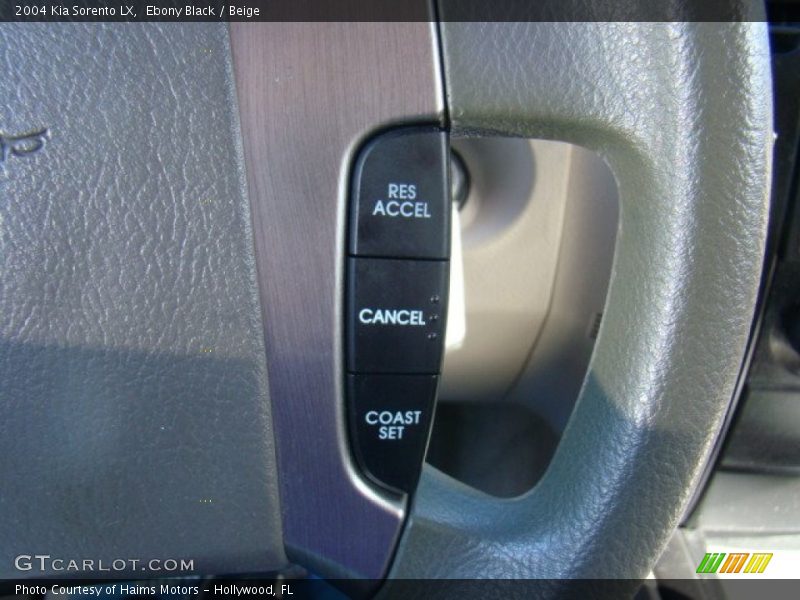 Ebony Black / Beige 2004 Kia Sorento LX