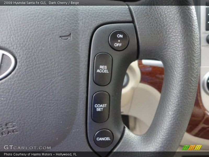 Dark Cherry / Beige 2009 Hyundai Santa Fe GLS