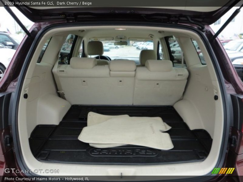 Dark Cherry / Beige 2009 Hyundai Santa Fe GLS