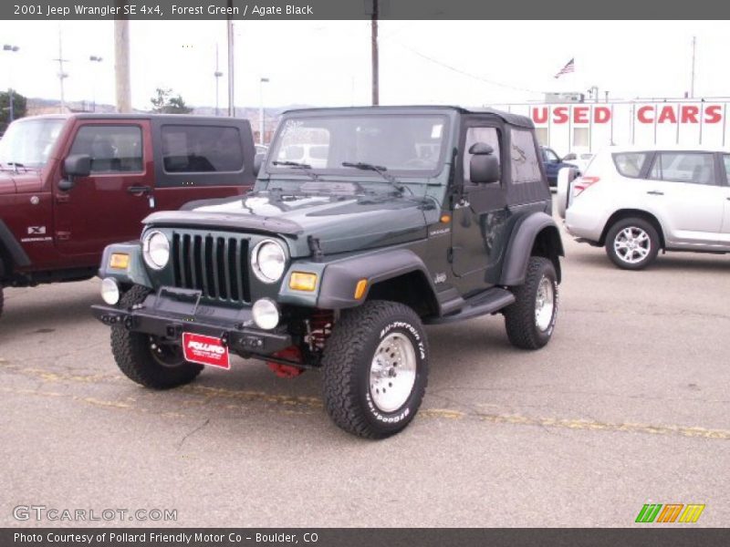 Forest Green / Agate Black 2001 Jeep Wrangler SE 4x4