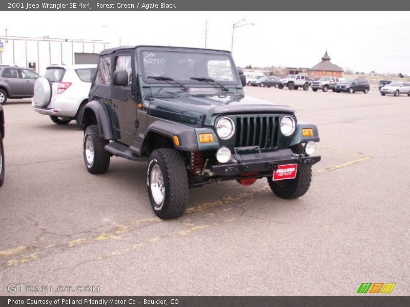 Forest Green / Agate Black 2001 Jeep Wrangler SE 4x4