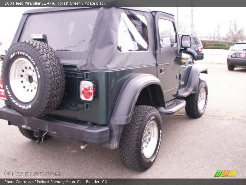 Forest Green / Agate Black 2001 Jeep Wrangler SE 4x4