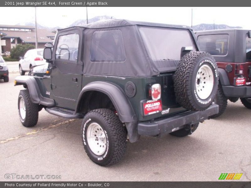 Forest Green / Agate Black 2001 Jeep Wrangler SE 4x4