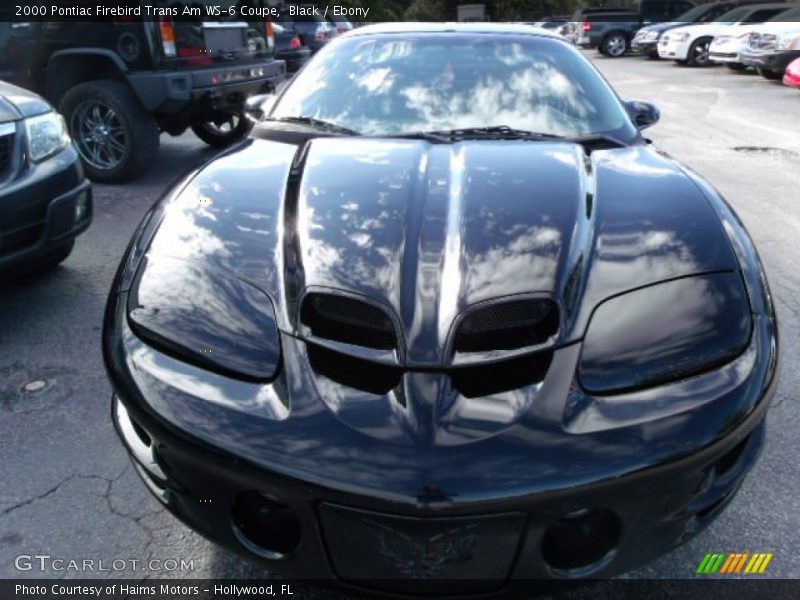 Black / Ebony 2000 Pontiac Firebird Trans Am WS-6 Coupe