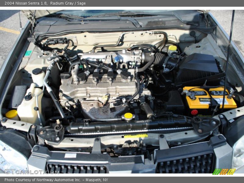 Radium Gray / Sage 2004 Nissan Sentra 1.8