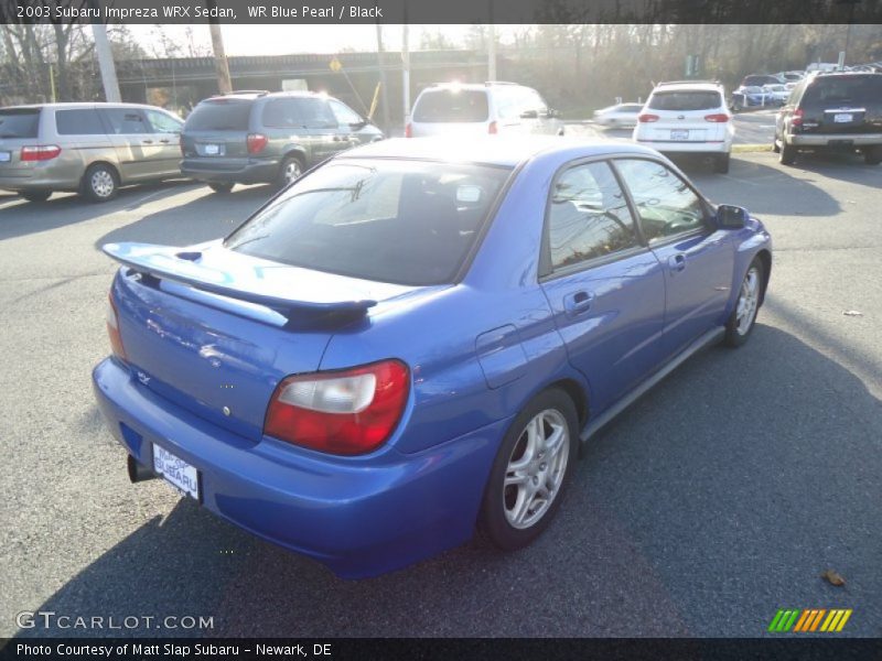 WR Blue Pearl / Black 2003 Subaru Impreza WRX Sedan