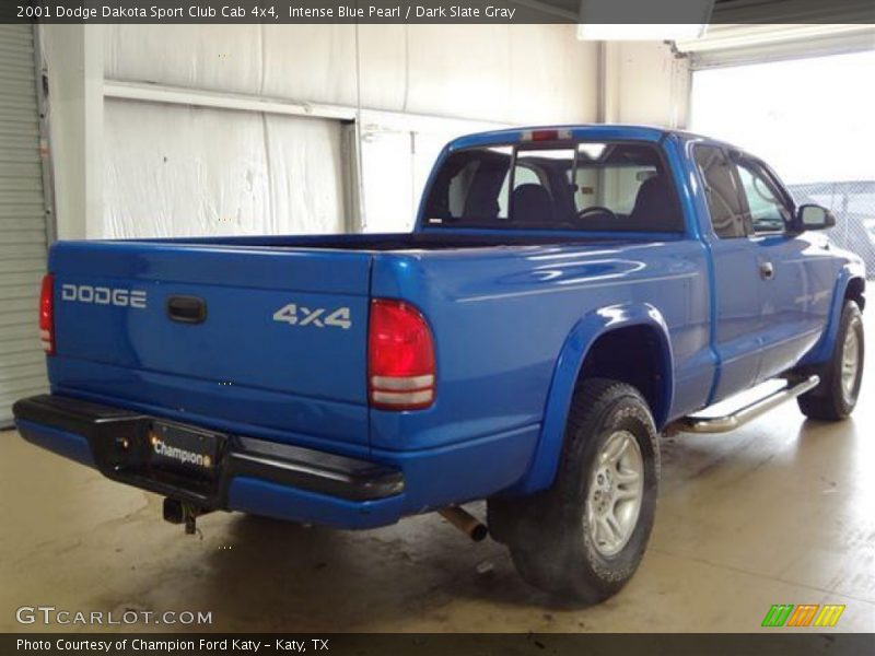 Intense Blue Pearl / Dark Slate Gray 2001 Dodge Dakota Sport Club Cab 4x4