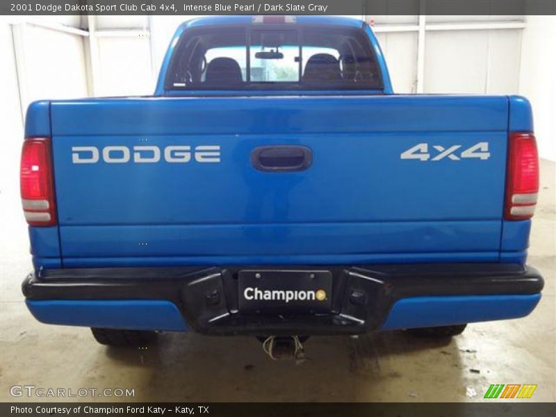 Intense Blue Pearl / Dark Slate Gray 2001 Dodge Dakota Sport Club Cab 4x4