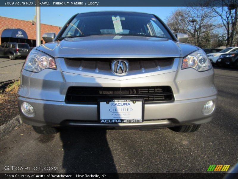 Palladium Metallic / Ebony 2009 Acura RDX SH-AWD