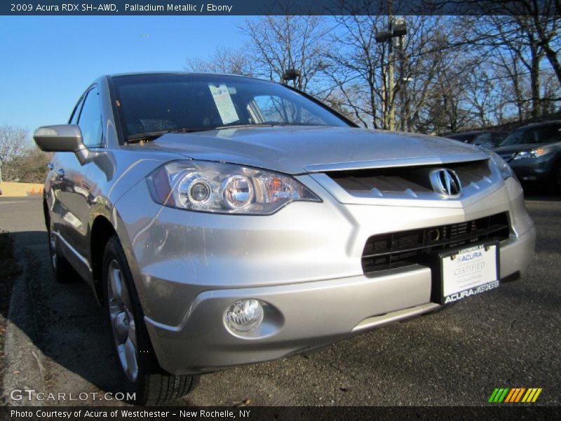 Palladium Metallic / Ebony 2009 Acura RDX SH-AWD