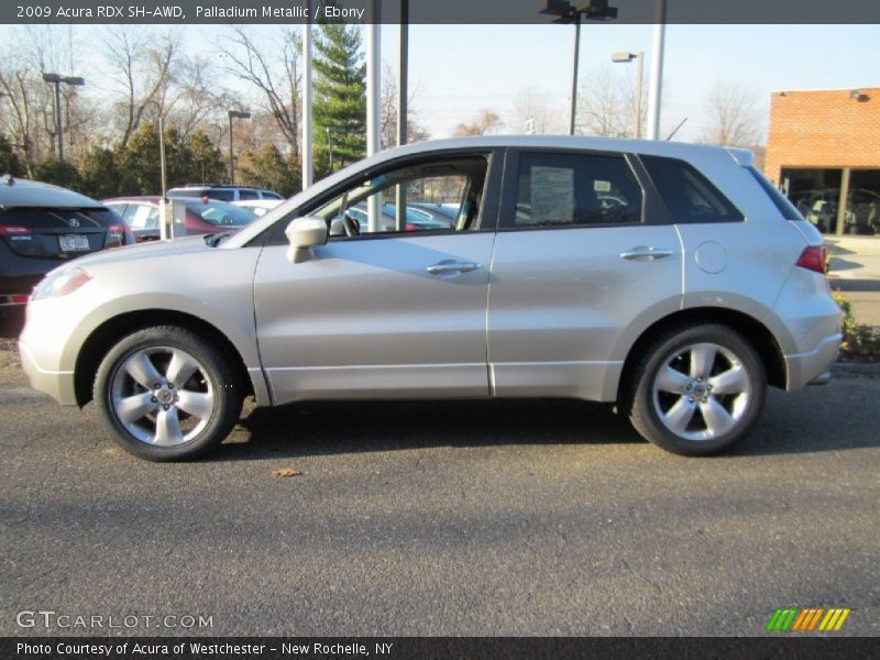 Palladium Metallic / Ebony 2009 Acura RDX SH-AWD