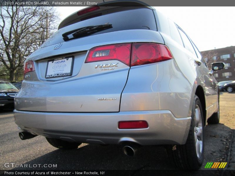 Palladium Metallic / Ebony 2009 Acura RDX SH-AWD