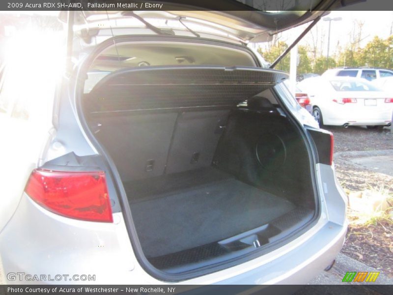 Palladium Metallic / Ebony 2009 Acura RDX SH-AWD