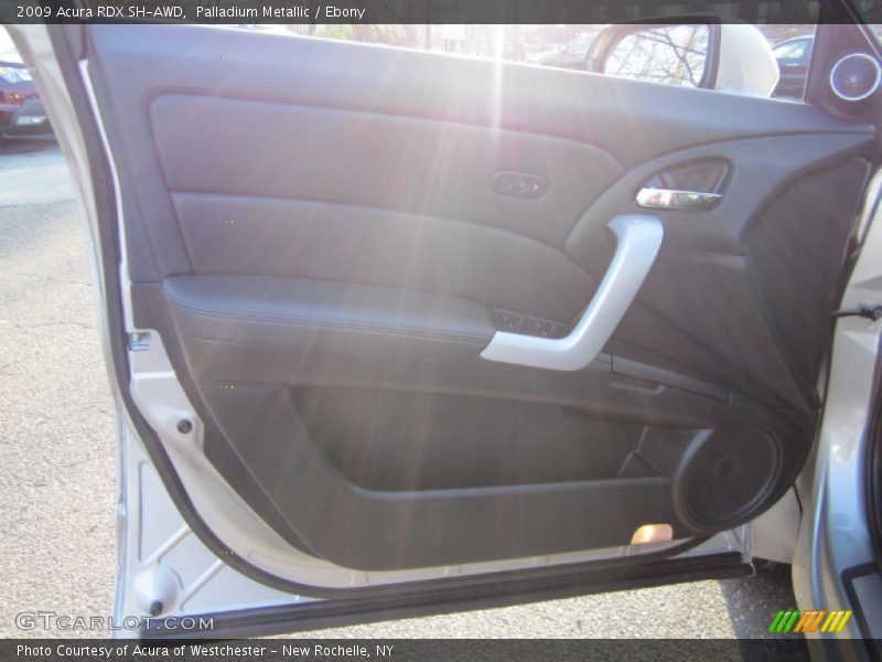 Palladium Metallic / Ebony 2009 Acura RDX SH-AWD