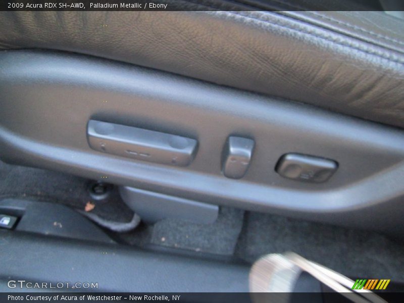 Palladium Metallic / Ebony 2009 Acura RDX SH-AWD