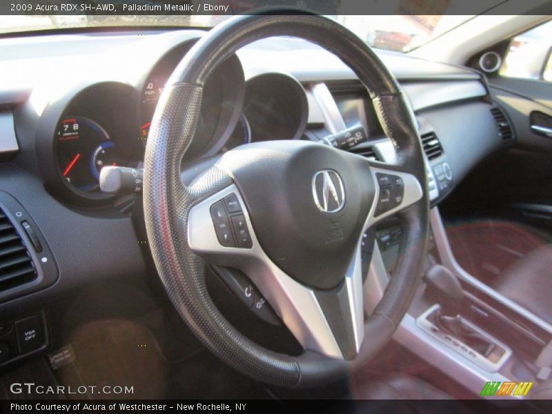 Palladium Metallic / Ebony 2009 Acura RDX SH-AWD