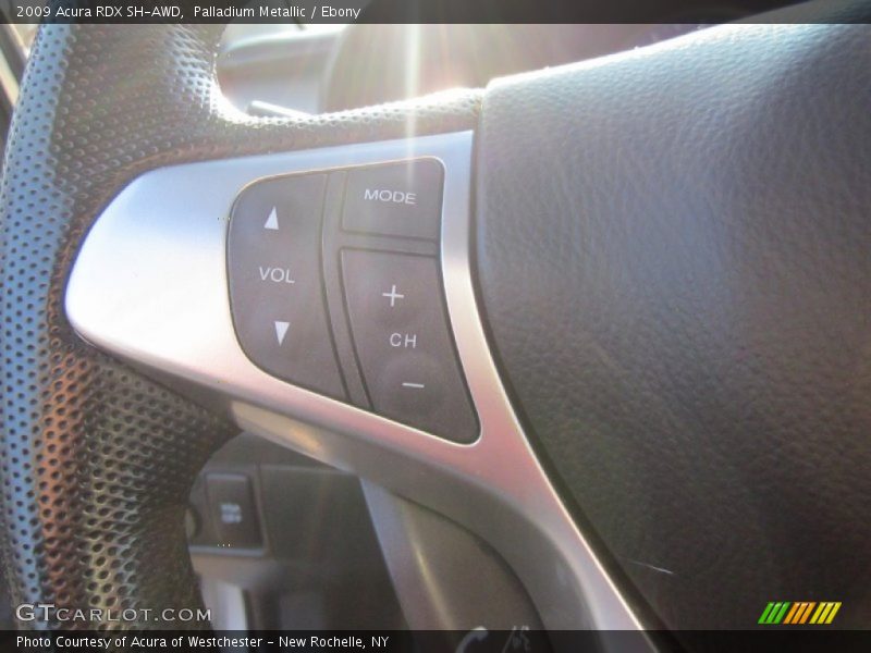 Palladium Metallic / Ebony 2009 Acura RDX SH-AWD