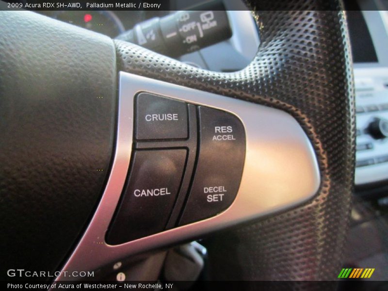 Palladium Metallic / Ebony 2009 Acura RDX SH-AWD