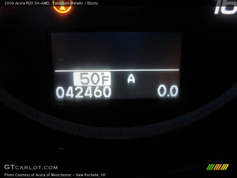 Palladium Metallic / Ebony 2009 Acura RDX SH-AWD