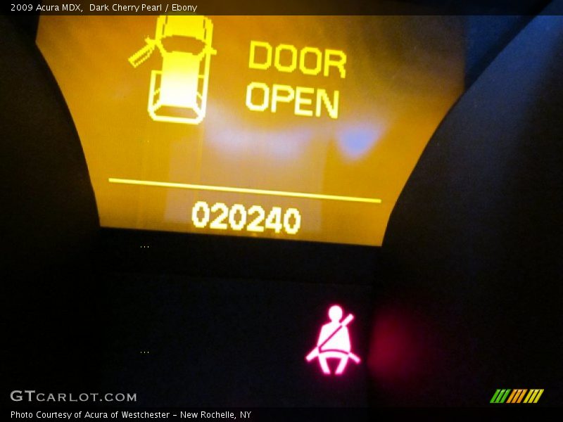 Dark Cherry Pearl / Ebony 2009 Acura MDX