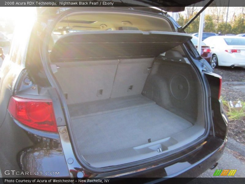 Nighthawk Black Pearl / Ebony 2008 Acura RDX Technology