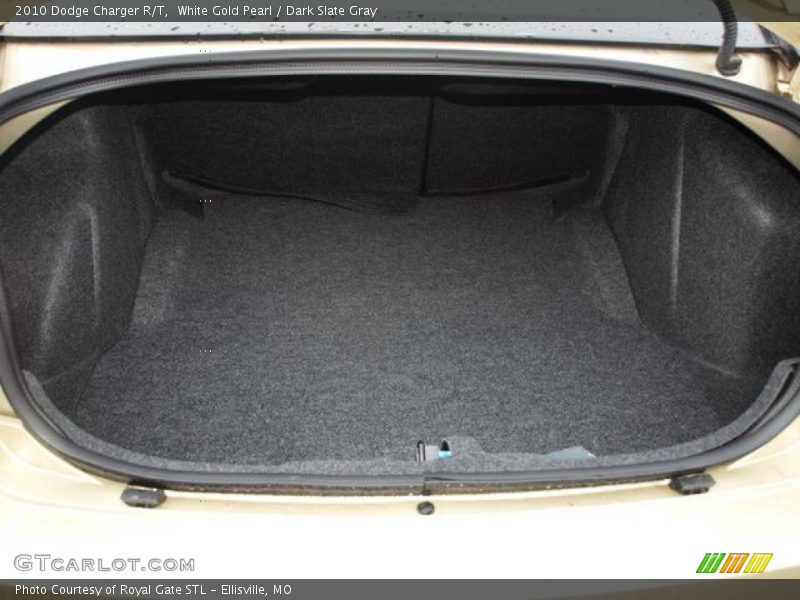 White Gold Pearl / Dark Slate Gray 2010 Dodge Charger R/T