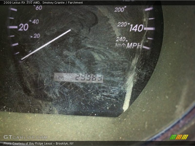Smokey Granite / Parchment 2009 Lexus RX 350 AWD