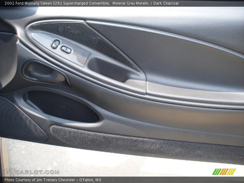 Door Panel of 2001 Mustang Saleen S281 Supercharged Convertible