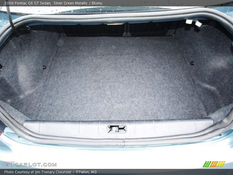 Silver Green Metallic / Ebony 2009 Pontiac G6 GT Sedan