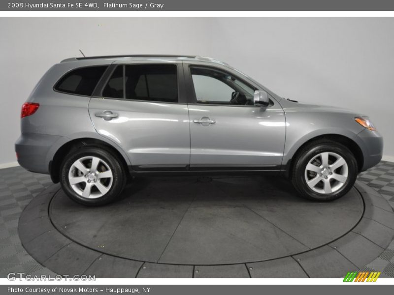 Platinum Sage / Gray 2008 Hyundai Santa Fe SE 4WD