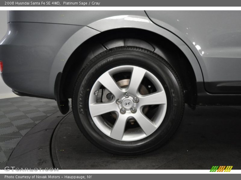 Platinum Sage / Gray 2008 Hyundai Santa Fe SE 4WD