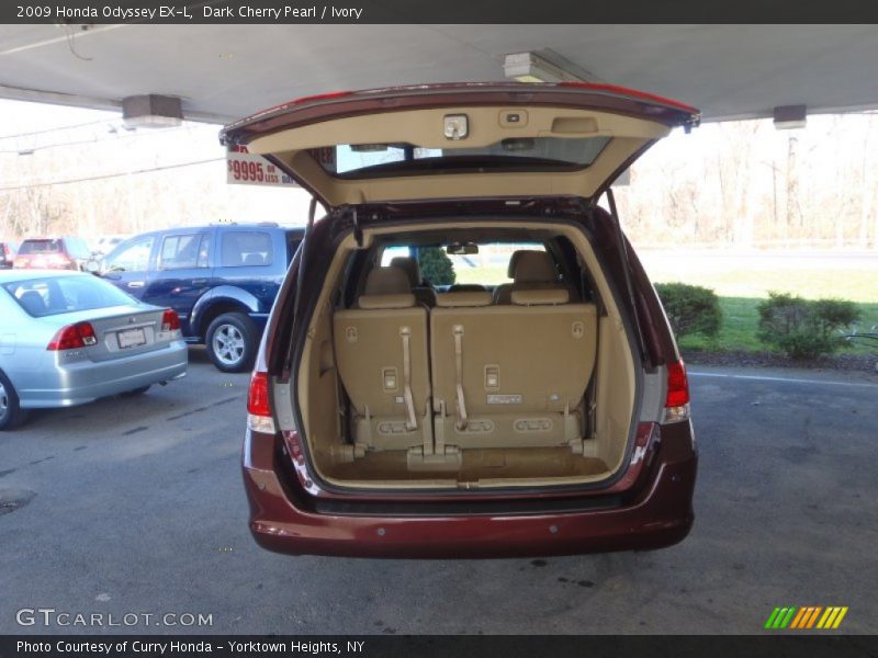 Dark Cherry Pearl / Ivory 2009 Honda Odyssey EX-L