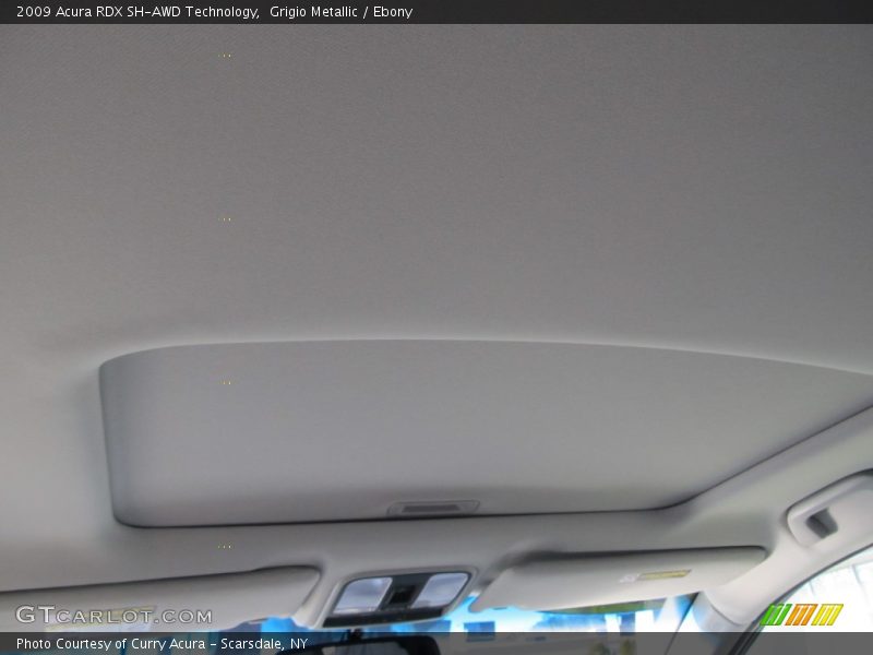 Grigio Metallic / Ebony 2009 Acura RDX SH-AWD Technology