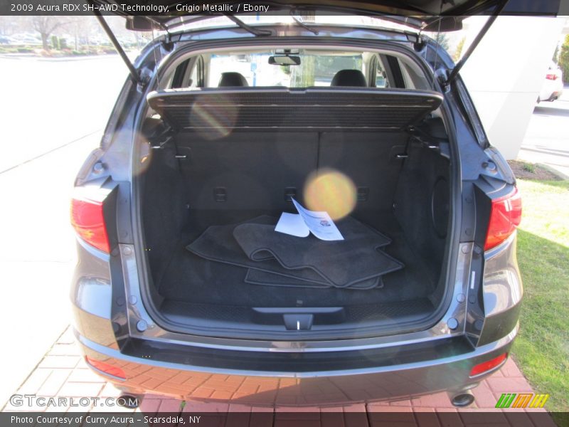 Grigio Metallic / Ebony 2009 Acura RDX SH-AWD Technology