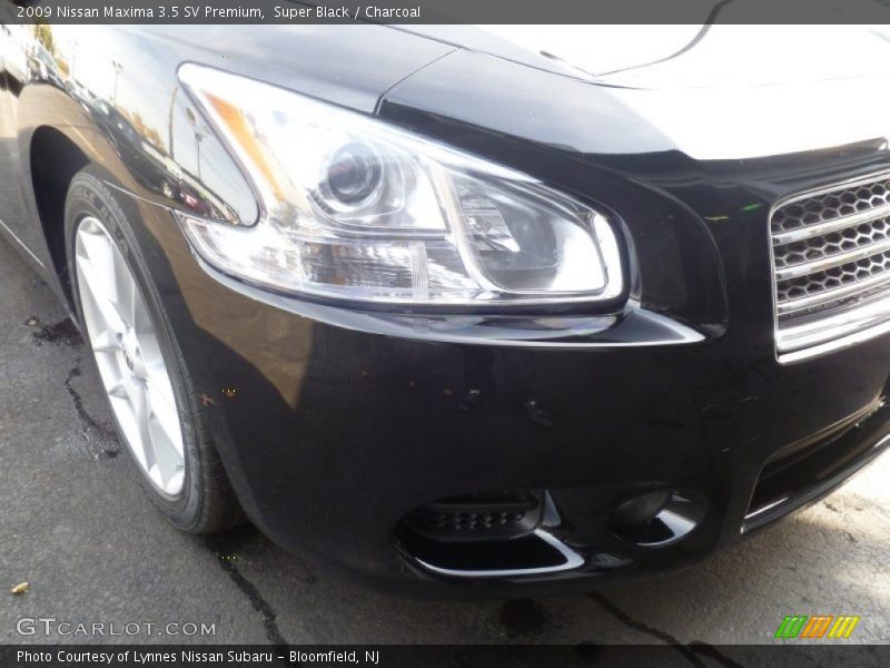 Super Black / Charcoal 2009 Nissan Maxima 3.5 SV Premium