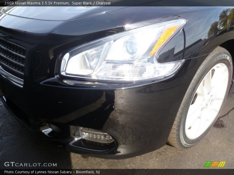 Super Black / Charcoal 2009 Nissan Maxima 3.5 SV Premium