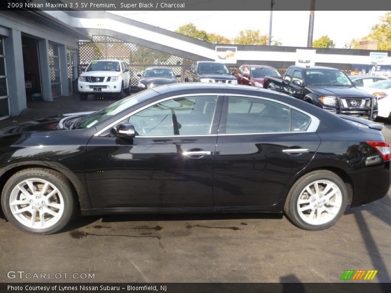 Super Black / Charcoal 2009 Nissan Maxima 3.5 SV Premium
