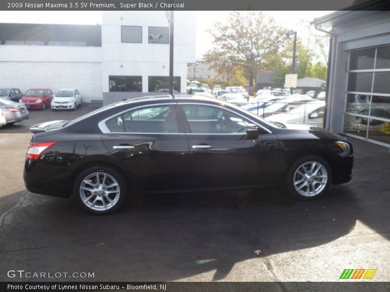Super Black / Charcoal 2009 Nissan Maxima 3.5 SV Premium