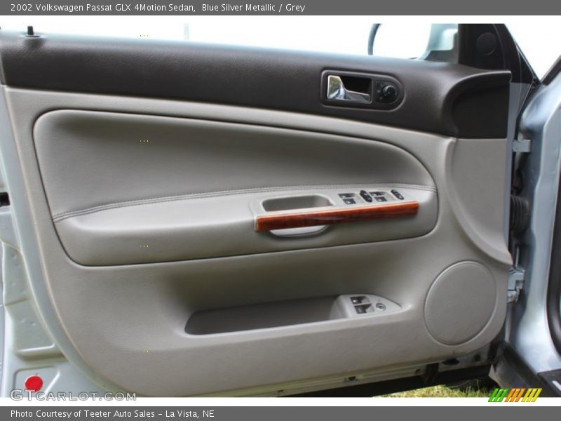 Door Panel of 2002 Passat GLX 4Motion Sedan