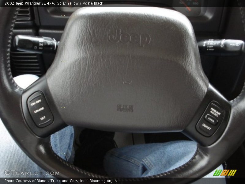 Solar Yellow / Agate Black 2002 Jeep Wrangler SE 4x4