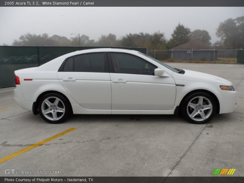 White Diamond Pearl / Camel 2005 Acura TL 3.2