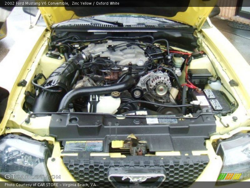 Zinc Yellow / Oxford White 2002 Ford Mustang V6 Convertible