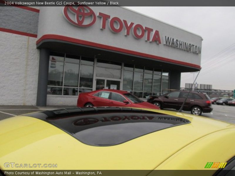 Sunflower Yellow / Black 2004 Volkswagen New Beetle GLS Coupe