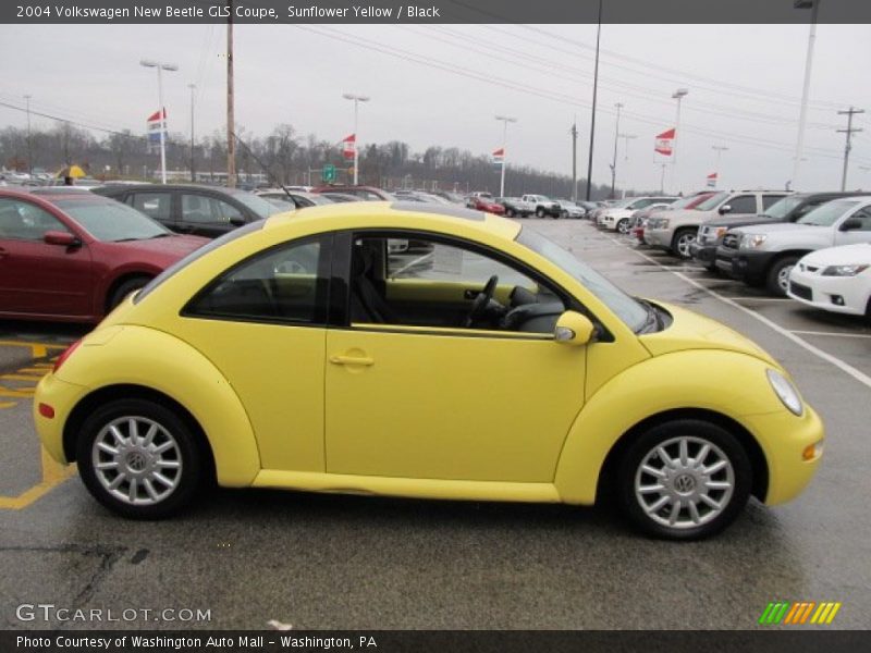 Sunflower Yellow / Black 2004 Volkswagen New Beetle GLS Coupe
