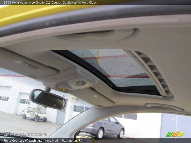 Sunflower Yellow / Black 2004 Volkswagen New Beetle GLS Coupe