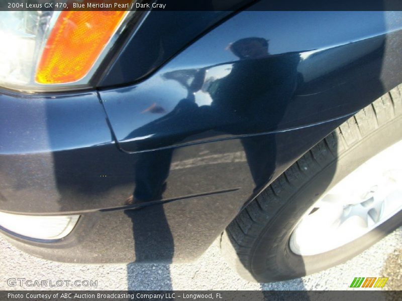 Blue Meridian Pearl / Dark Gray 2004 Lexus GX 470